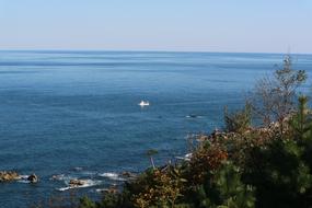 The Body Of Water Sea Nature