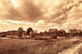 Landscape Dutch Rural
