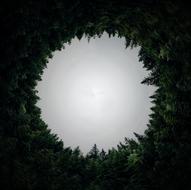 a white circle with green trees