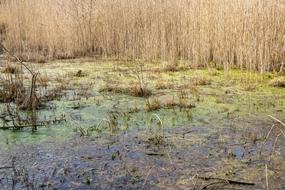 Nature Waters Landscape