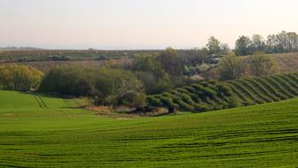 Mati Nature Landscape