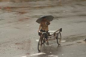 Person with umbrella near the cart, on the road with water