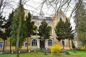 The Palace facade in Nielestno