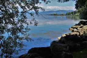 Lake Bodensee Beach