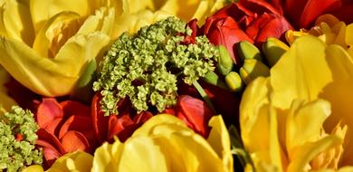 Flowers Spring Colorful