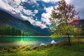 the lake is green and trees with mountains