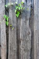 Fence Texture Old The Structure Of