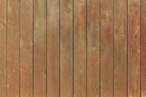 rustic Wood Boards Panel