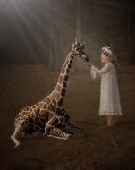 Giraffe Nature Fantasy