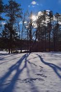 Winter Snow Shadow