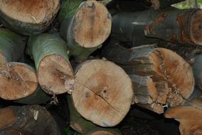 Holzstapel