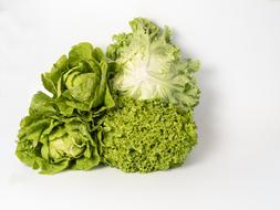 Lettuce Varieties green