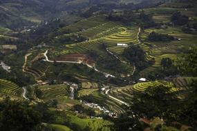 Blind Stretch Comb Lao Cai Yen Bai