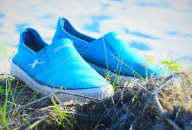 Nature Summer Grass