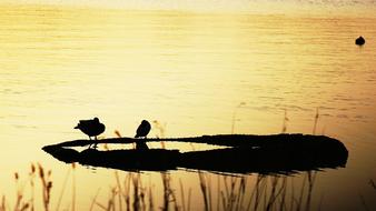 It Can Gyeongpoho Sunrise Nature