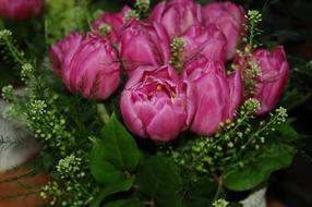 peonies bouquet wedding
