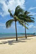 Sand Beach Tropical