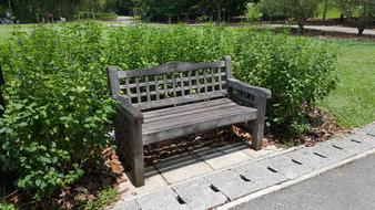 Bench Garden Nature