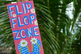Summer Nature Flip Flops