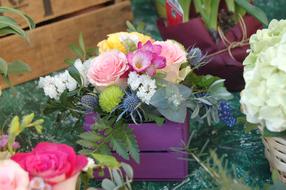 Flower Bouquet De Fleurs macro