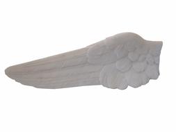 Isolated Nature Close Up