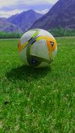 Grass Nature Outdoors