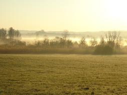 Landscape Nature Fog