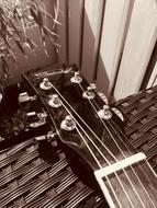 Sound Music Stringed