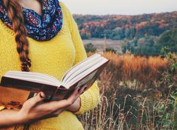 Outdoors Summer Nature