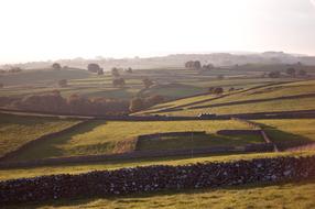 Agriculture Landscape Farm