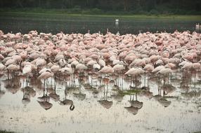 Nature Water Outdoors