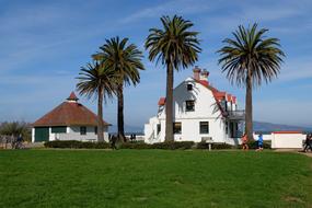 palm Trees near House on sea coast, usa, california, san francisco