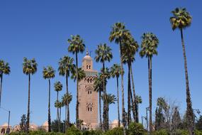 Minaret Palm Trees Travel