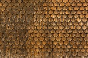 Facade Wood Texture