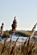 windy weather by the lake