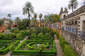 Architecture Palm Garden