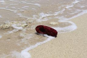 Sand Beach Body Of Water