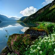 Mountain Nature Landscape