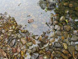 Stones Rocks Water