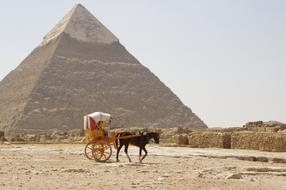 Camel Desert Pyramid