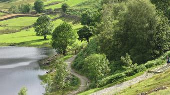 Nature Summer Landscape