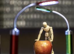 wooden doll with apple on blurred background