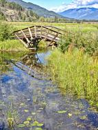 Bridge Stream Peaceful