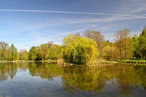 Park Landscape Poland