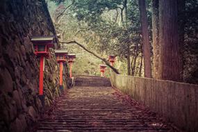 Wood Travel Stairs