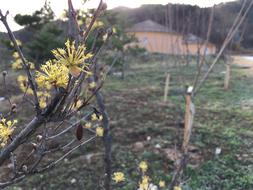 Wood Nature Outdoors