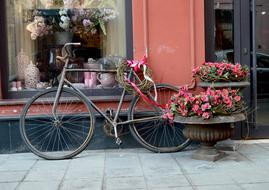 Wheel Flower Seat