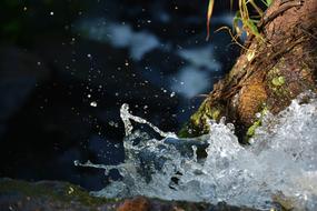 Waterfall Nature Abseiling