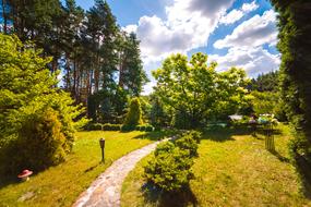 Tree Nature Park