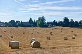 Harvest Bales Hay